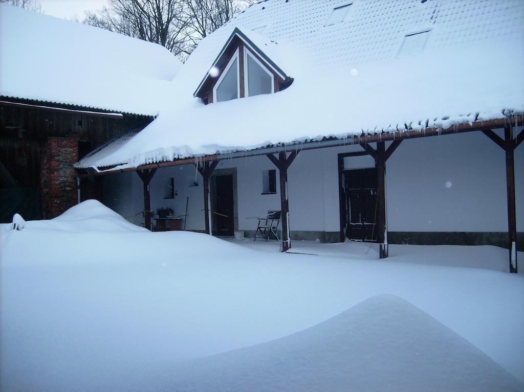 Hotel Penzion U Dvojice Nove Mesto na Morave Zewnętrze zdjęcie