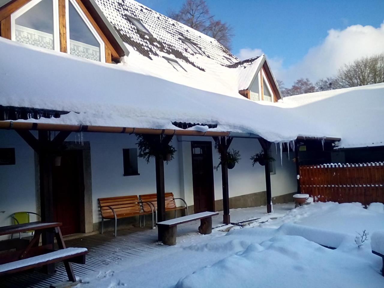 Hotel Penzion U Dvojice Nove Mesto na Morave Zewnętrze zdjęcie