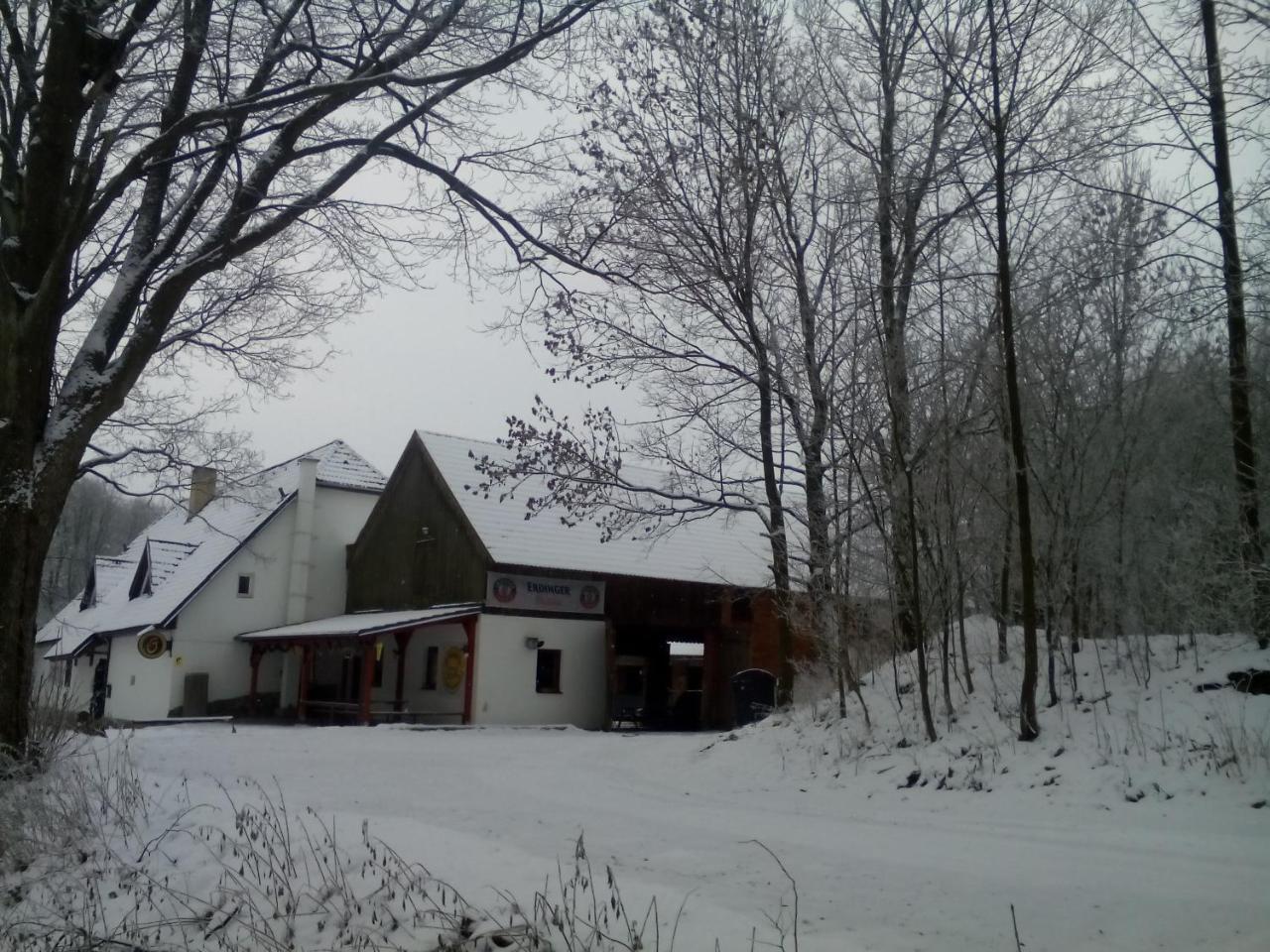 Hotel Penzion U Dvojice Nove Mesto na Morave Zewnętrze zdjęcie